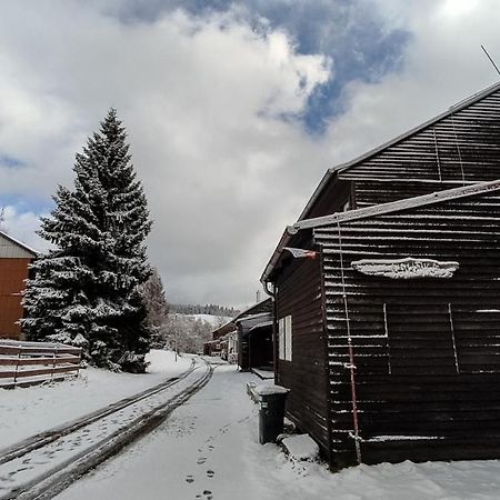 Penzion Apartmany Aninka Mariánská Eksteriør billede